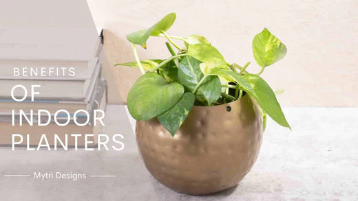 The Benefits of Indoor Planters