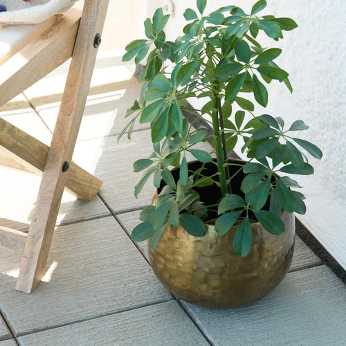 Matte Gold Brass Planter - Peetal Pots & Planters 